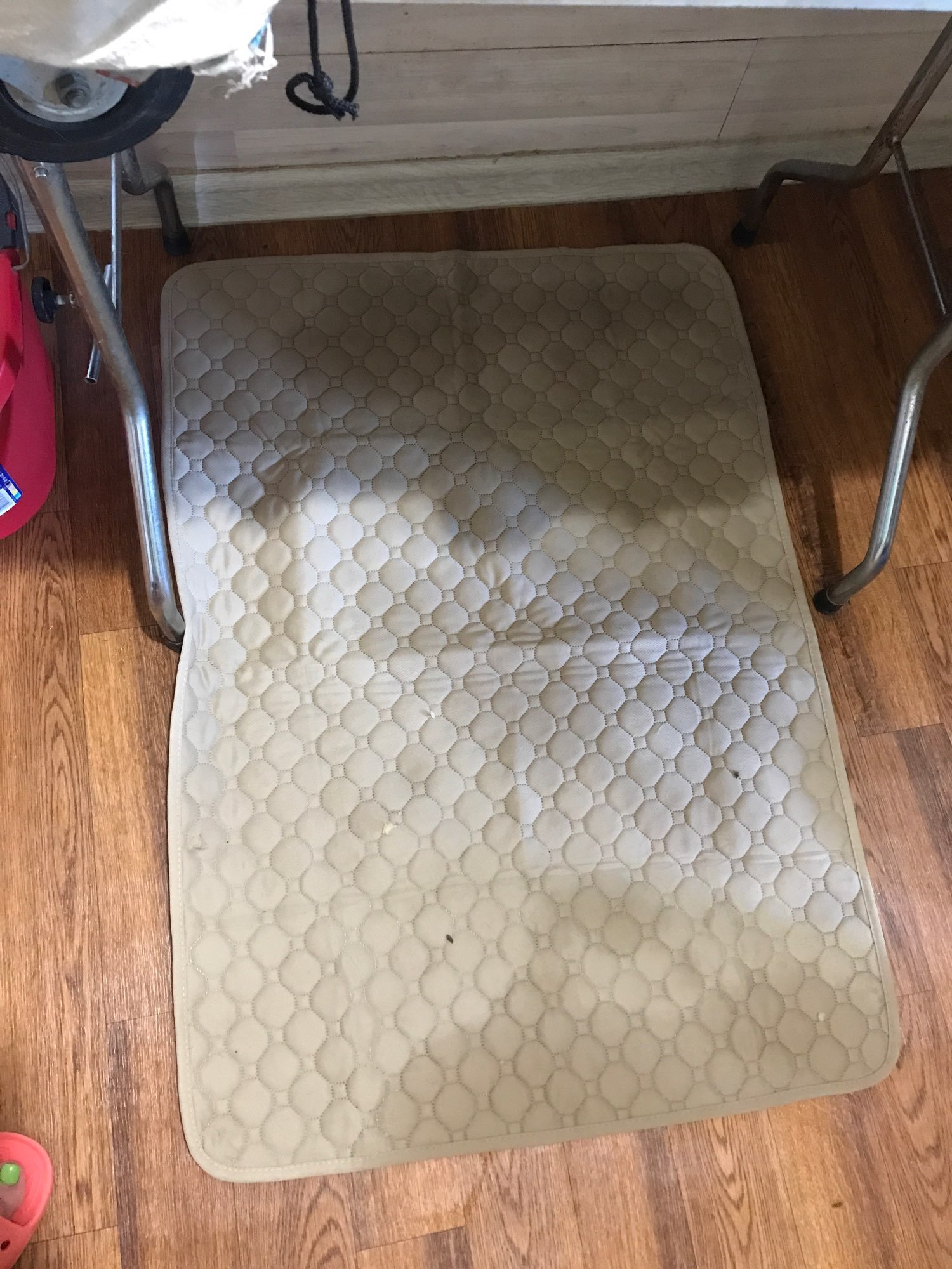 Puppy Pee Pads photo review
