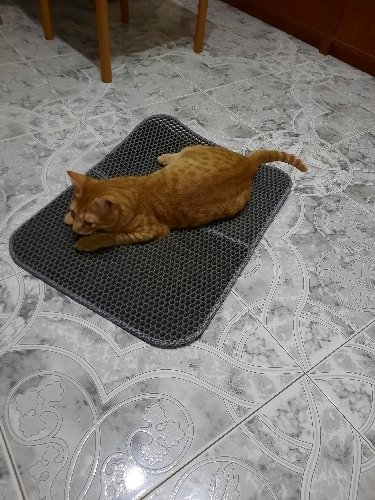 Folded Cat Litter Mat photo review
