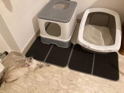 Folded Cat Litter Mat photo review